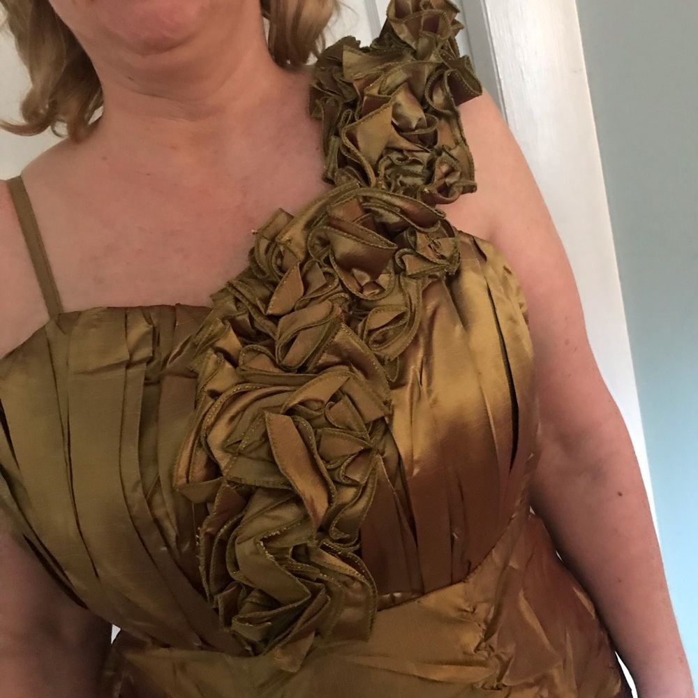 NWT Cherlone Green/Gold Dress size 12/14